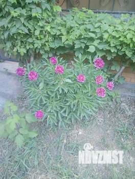 Дом 270м², 2-этажный, участок 6 сот.