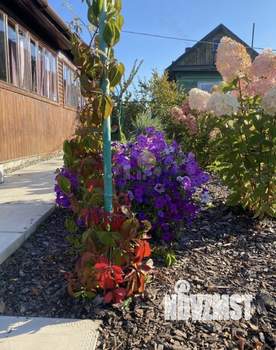 Дом 50м², 1-этажный, участок 6 сот.