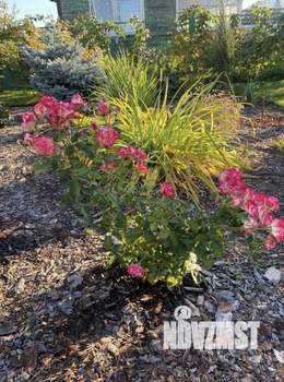 Дом 50м², 1-этажный, участок 6 сот.