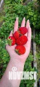 Дом 20м², 1-этажный, участок 6 сот.