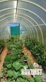 Дом 50м², 2-этажный, участок 14 сот.