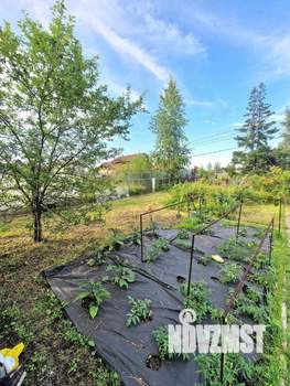 Дом 90м², 1-этажный, участок 7 сот.