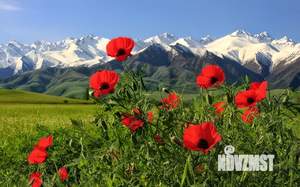 Дом 56м², 1-этажный, участок 13 сот.