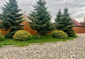 Дом 161м², 2-этажный, участок 12 сот.