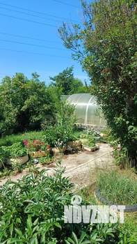 Дом 50м², 2-этажный, участок 14 сот.