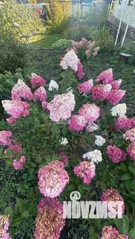 Дом 118м², 2-этажный, участок 14 сот.