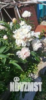 Дом 20м², 1-этажный, участок 6 сот.