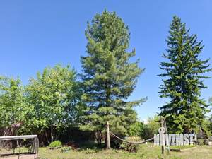 Дом 18м², 1-этажный, участок 7 сот.