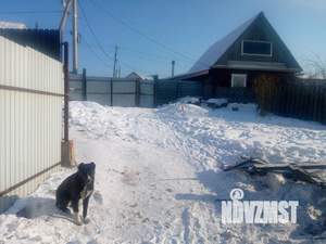 Дом 64м&sup2;, 1-этажный, на длительный срок, 