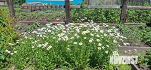 Дом 20м², 1-этажный, участок 6 сот.  