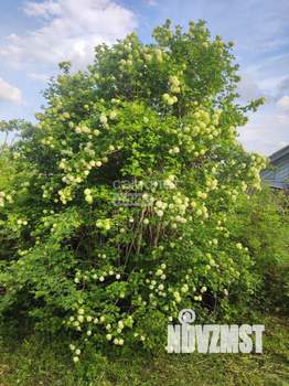 Дом 24м², 1-этажный, участок 7 сот.  