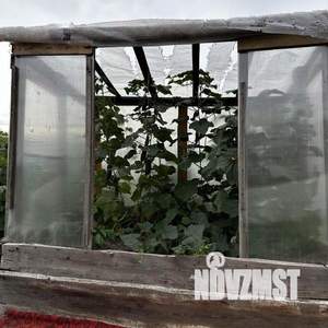 Дом 60м², 1-этажный, участок 6 сот.  