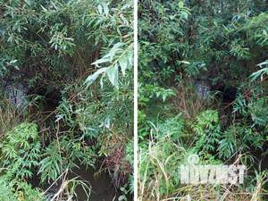 Дом 36м², 1-этажный, участок 10 сот.  