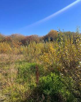 Дом 36м², 1-этажный, участок 10 сот.  