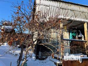 Дом 50м&sup2;, 2-этажный, участок 5 сот.  