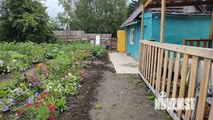 Дом 30м&sup2;, 1-этажный, участок 6 сот.  