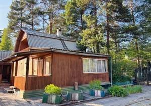 Дом 55м², 2-этажный, участок 8 сот.  