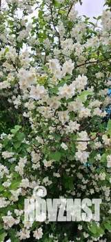 Дом 20м², 1-этажный, участок 6 сот.  