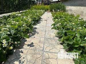 Дом 93м², 2-этажный, участок 8 сот.  