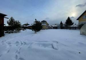 Дом 42м², 1-этажный, участок 13 сот.  