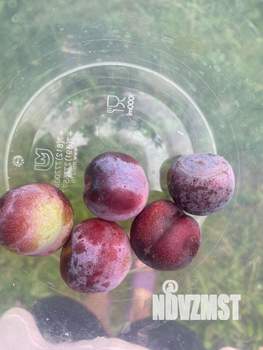 Дом 118м&sup2;, 2-этажный, участок 5 сот.  