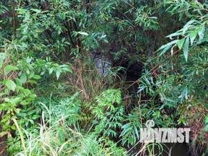 Дом 36м², 1-этажный, участок 10 сот.  