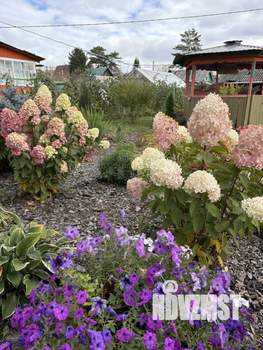 Дом 50м², 1-этажный, участок 6 сот.  