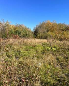 Дом 36м², 1-этажный, участок 10 сот.  