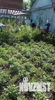 Дом 20м², 1-этажный, участок 6 сот.  