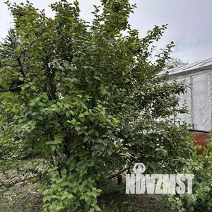 Дом 60м², 1-этажный, участок 6 сот.  