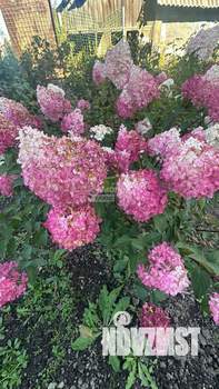 Дом 118м², 2-этажный, участок 14 сот.  