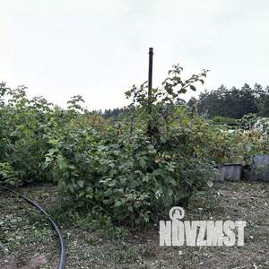 Дом 60м², 1-этажный, участок 6 сот.  