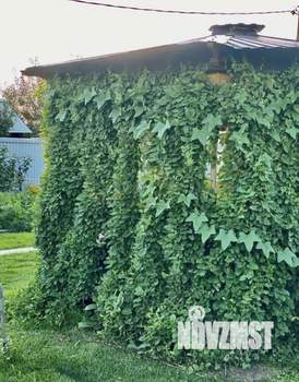 Дом 50м², 1-этажный, участок 6 сот.  