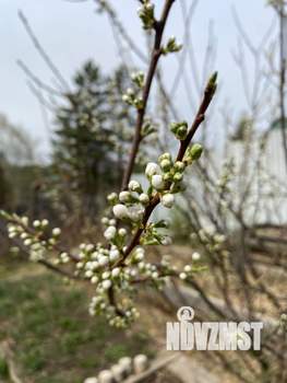 Дом 118м&sup2;, 2-этажный, участок 5 сот.  