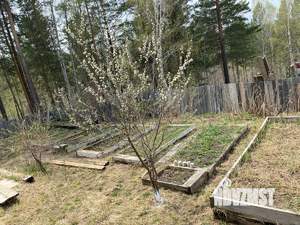 Дом 118м&sup2;, 2-этажный, участок 5 сот.  