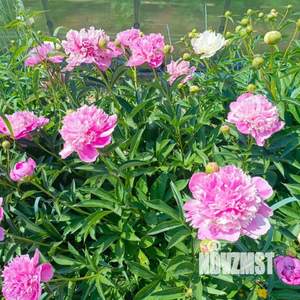 Дом 80м&sup2;, 2-этажный, участок 4 сот.  