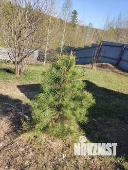 Дом 61м&sup2;, 1-этажный, участок 9 сот.  