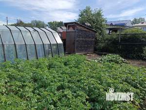 Дом 50м², 1-этажный, участок 8 сот.  