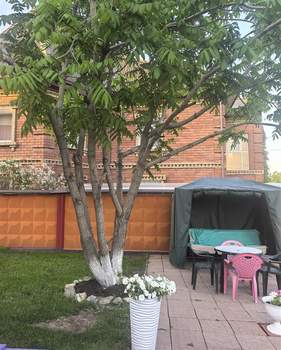 Дом 240м², 3-этажный, участок 6 сот.  