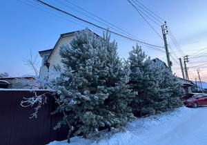 Дом 279м&sup2;, 2-этажный, участок 7 сот.  