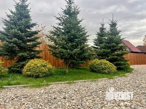 Коттедж 161м², 2-этажный, участок 12 сот.  