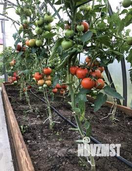 Дом 50м², 1-этажный, участок 6 сот.  