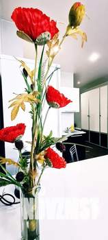 Студия квартира, посуточно, 40м2, 6/17 этаж