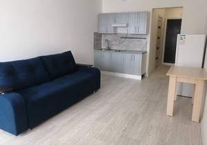 1-к квартира, на длительный срок, 33м2, 5/16 этаж