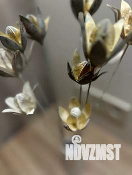 Студия квартира, посуточно, 22м2, 10/18 этаж