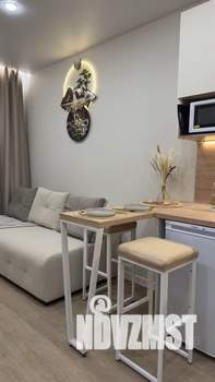 Студия квартира, посуточно, 19м2, 10/17 этаж