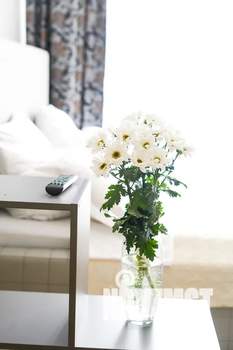 Студия квартира, посуточно, 40м2, 2/9 этаж