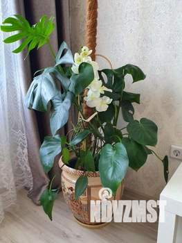 2-к квартира, посуточно, 54м2, 1/1 этаж