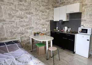 Студия квартира, на длительный срок, 25м2, 5/12 этаж