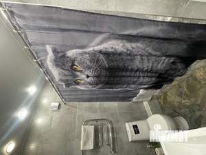 2-к квартира, посуточно, 55м2, 1/1 этаж